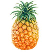 Piña Unidades